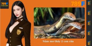 Nằm mơ thấy 2 con rắn